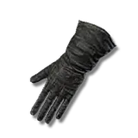 Preceptor’s Gloves